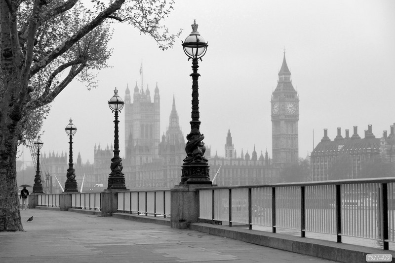 Tranh dán tường phong cảnh hồ thác, cây cối T321-531